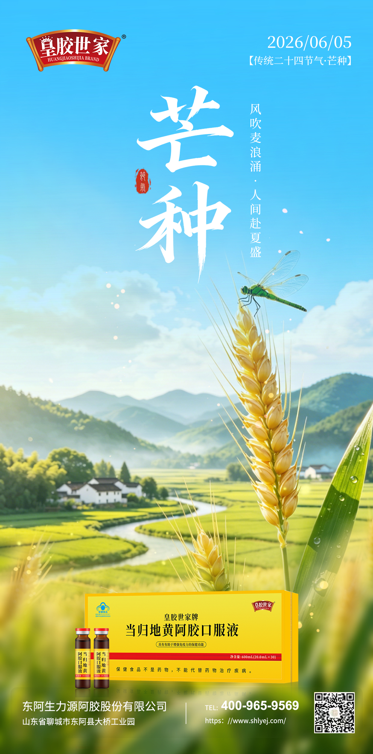 芒种海报.jpg