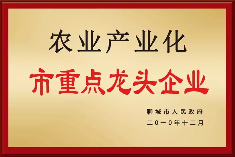 农业产业化龙头