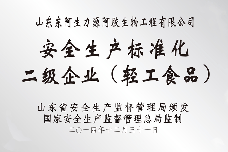 二级企业