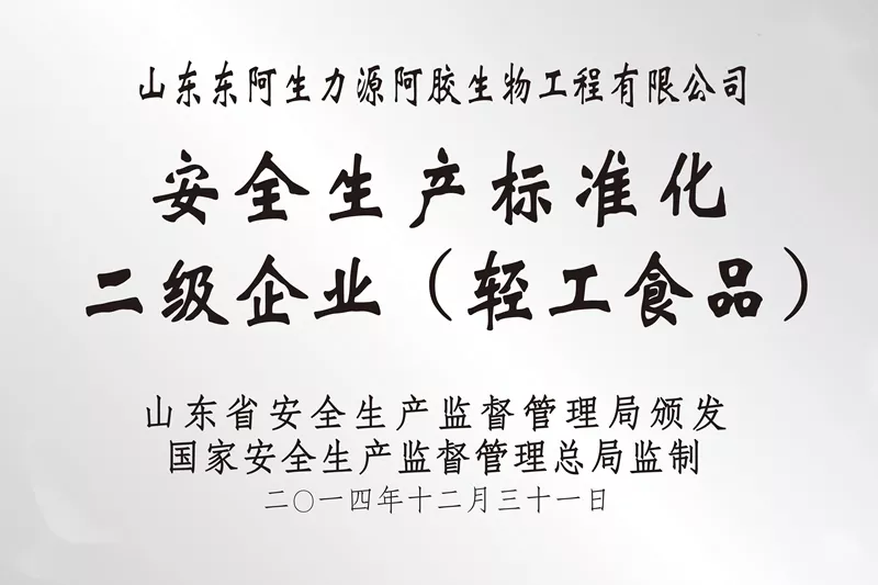 二级企业